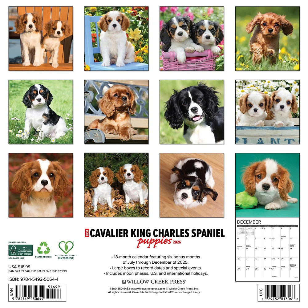 Just Cavalier King Charles Spaniel Puppies 2026 Wall Calendar - Online Exclusive