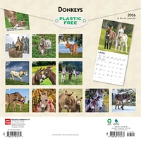 Donkeys 2026 Wall Calendar