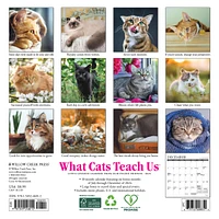 What Cats Teach Us Mini 2025 Calendar