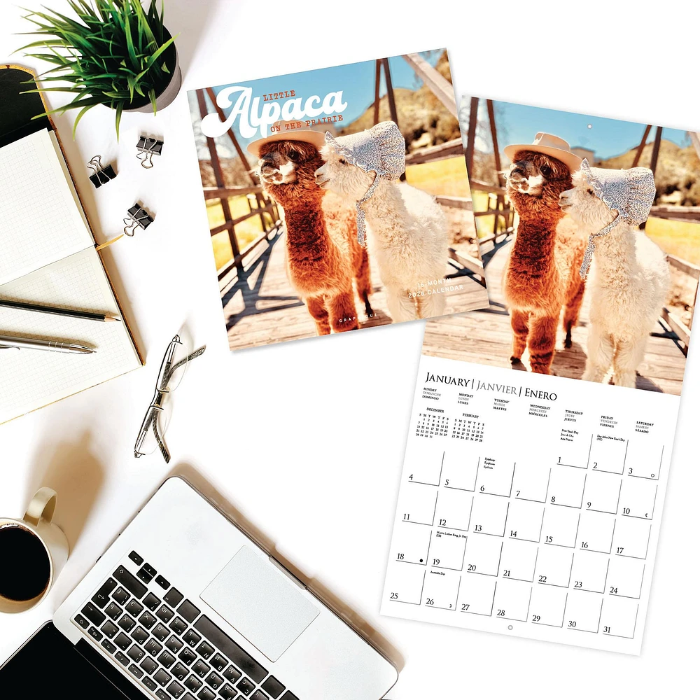 Litte Alpaca On The Prairie 2026 Wall Calendar