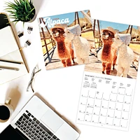 Litte Alpaca On The Prairie 2026 Wall Calendar