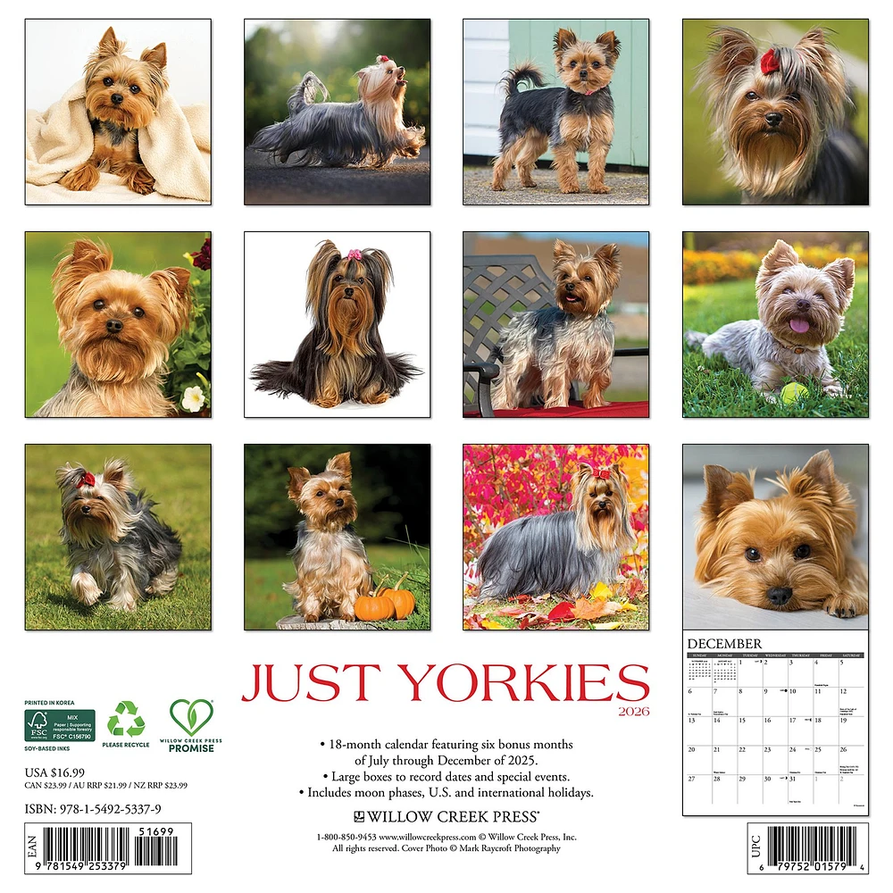 Just Yorkies 2026 Wall Calendar
