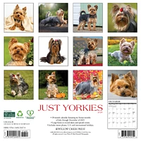 Just Yorkies 2026 Wall Calendar