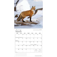 Canadian Wilderness 2026 Wall Calendar - Online Exclusive