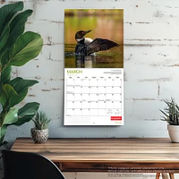 Canadian Geographic Loon 2026 Wall Calendar - Online Exclusive