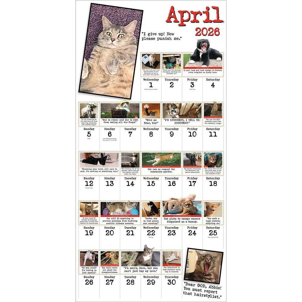 Bad Cat 2026 Wall Calendar - Online Exclusive