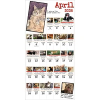 Bad Cat 2026 Wall Calendar - Online Exclusive