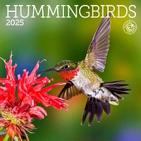 Hummingbirds Mini 2025 Calendar