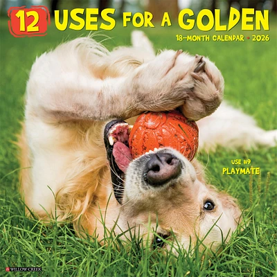 Goldens 12 Uses For 2026 Wall Calendar - Online Exclusive