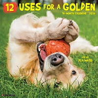 Goldens 12 Uses For 2026 Wall Calendar - Online Exclusive