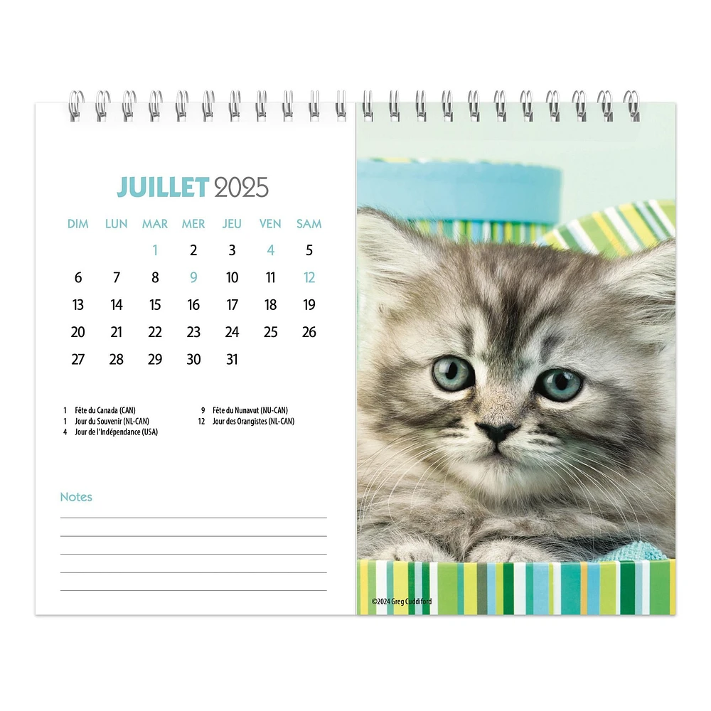 Chatons Easel 2025 Calendar (French)