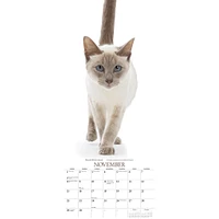 Cats 2026 Poster Calendar