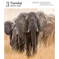 Audubon Nature Gallery 2026 Box Calendar