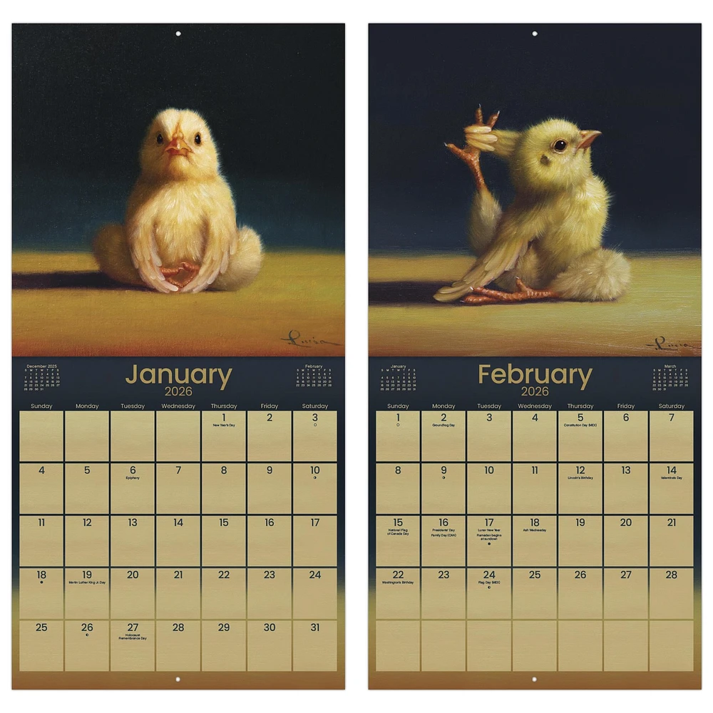 Yoga Chicks 2026 Wall Calendar