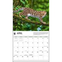 Wild Cats World Wildlife Fund Wall 2025 Calendar