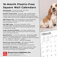 Basset Hounds Wall 2025 Calendar