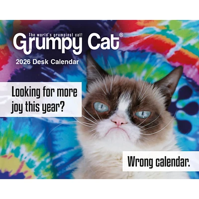 Grumpy Cat 2026 Box Calendar