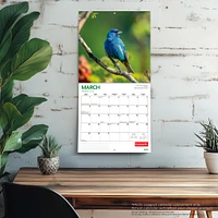 Canadian Geographic Birds 2026 Wall Calendar - Online Exclusive