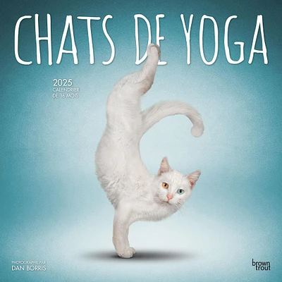 Chats De Yoga Wall 2025 Calendar (French)