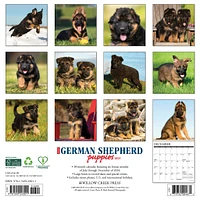 Just German Shepherd Puppies Wall 2025 Calendar