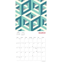 Optical Illusions 2026 Wall Calendar