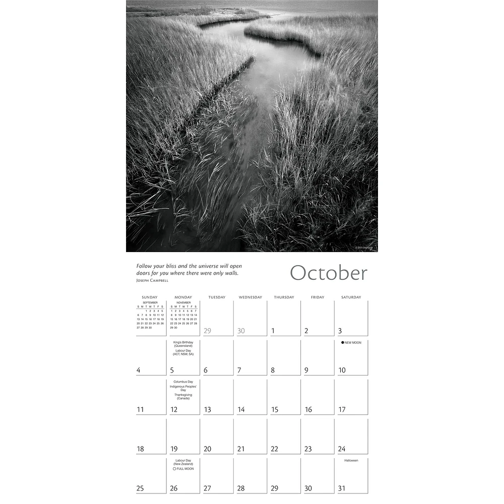 Zen of Nature 2026 Wall Calendar - Online Exclusive
