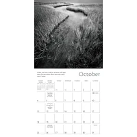 Zen of Nature 2026 Wall Calendar - Online Exclusive