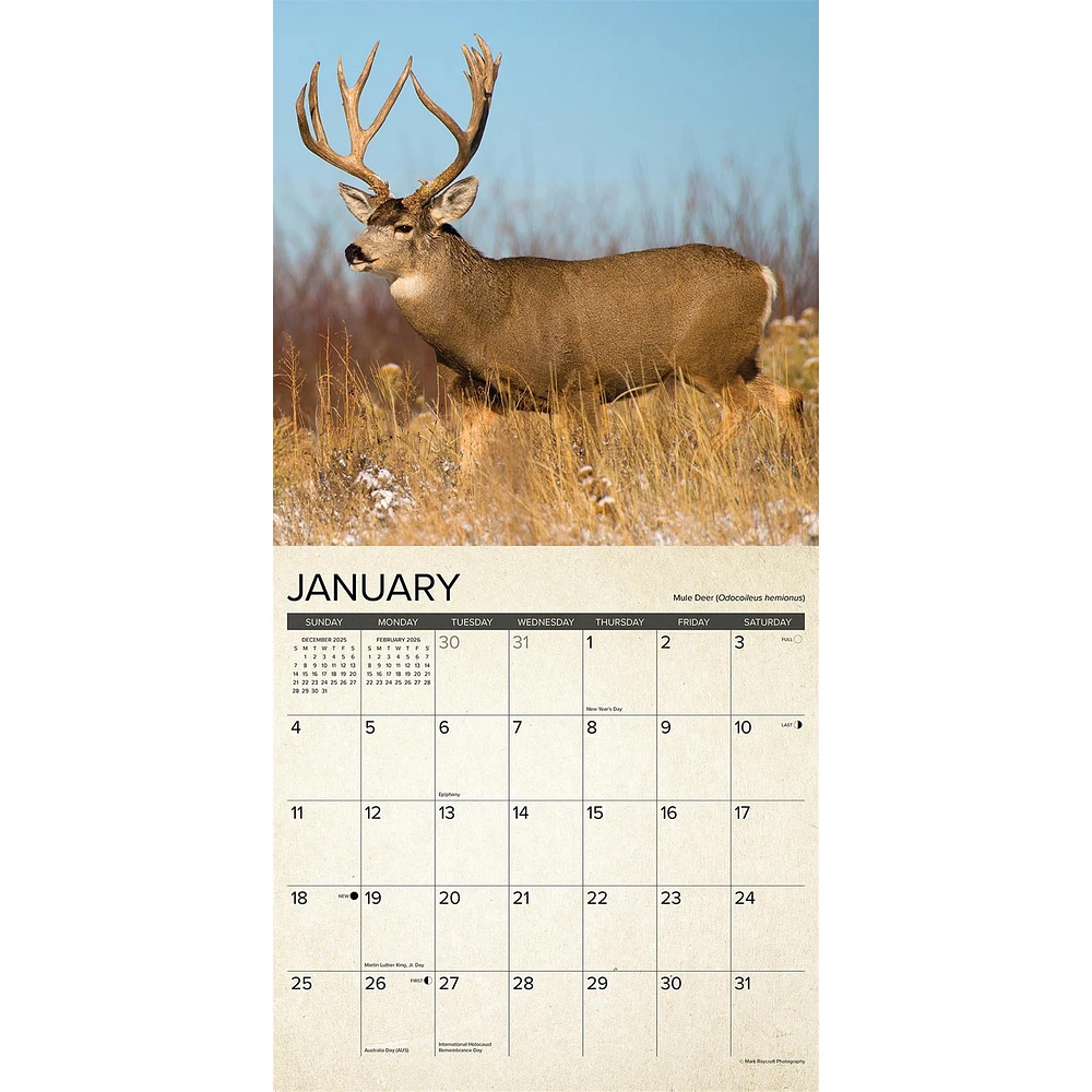 Canadian Fish And Wild Game 2026 Wall Calendar