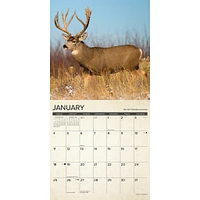 Canadian Fish And Wild Game 2026 Wall Calendar