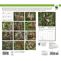 World Wildlife Fund Sloths 2026 Wall Calendar