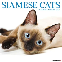 Siamese Cats Wall 2025 Calendar