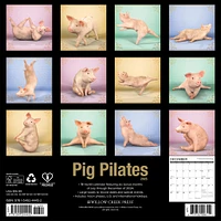 Pig Pilates Wall 2025 Calendar