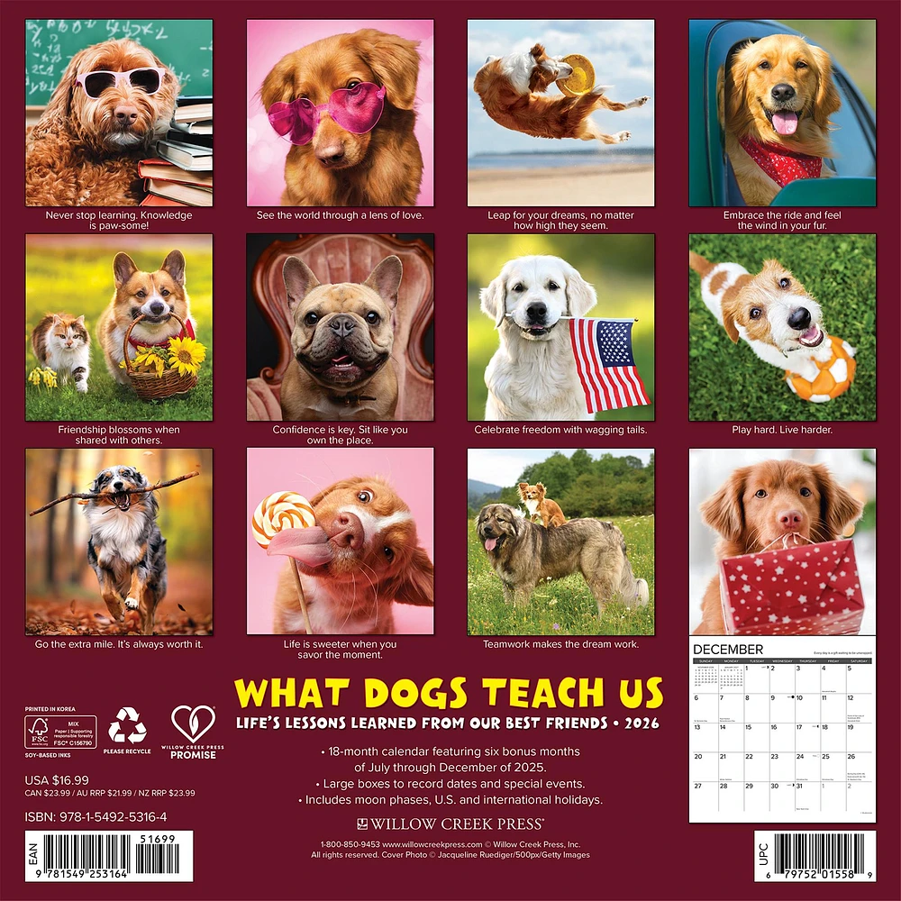 What Dogs Teach Us 2026 Wall Calendar