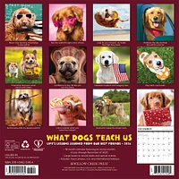 What Dogs Teach Us 2026 Wall Calendar