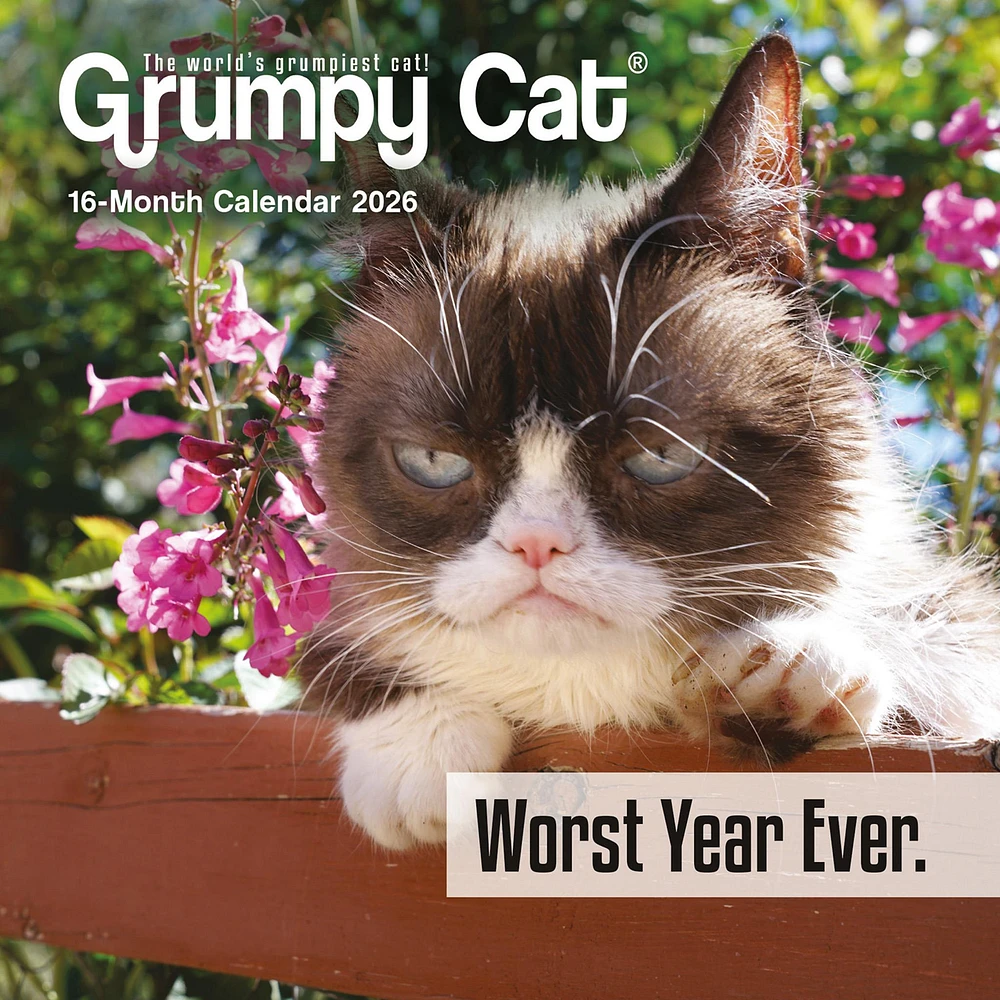 Grumpy Cat 2026 Mini Calendar