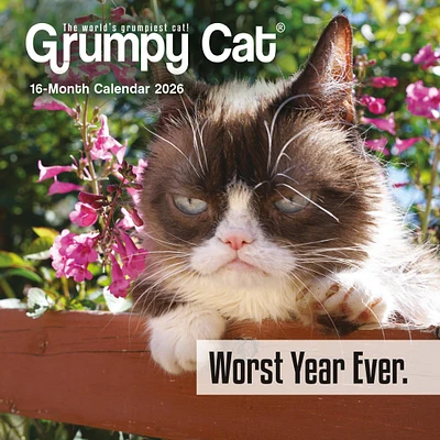 Grumpy Cat 2026 Mini Calendar