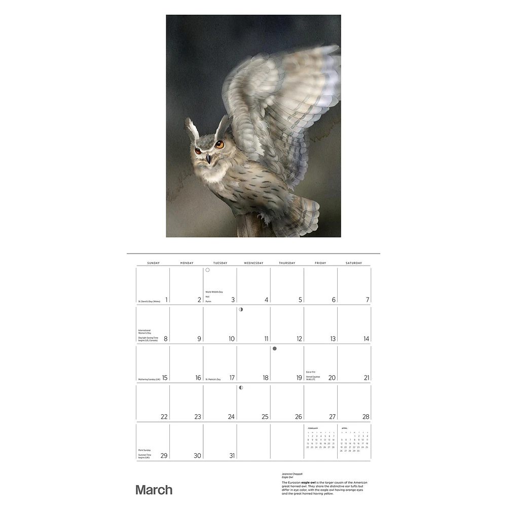 Owls Jeannine Chappell 2026 Wall Calendar