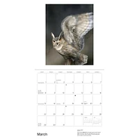 Owls Jeannine Chappell 2026 Wall Calendar