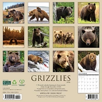 Grizzlies 2026 Wall Calendar