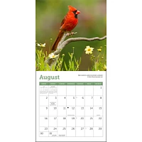 Songbirds 2026 Mini Calendar