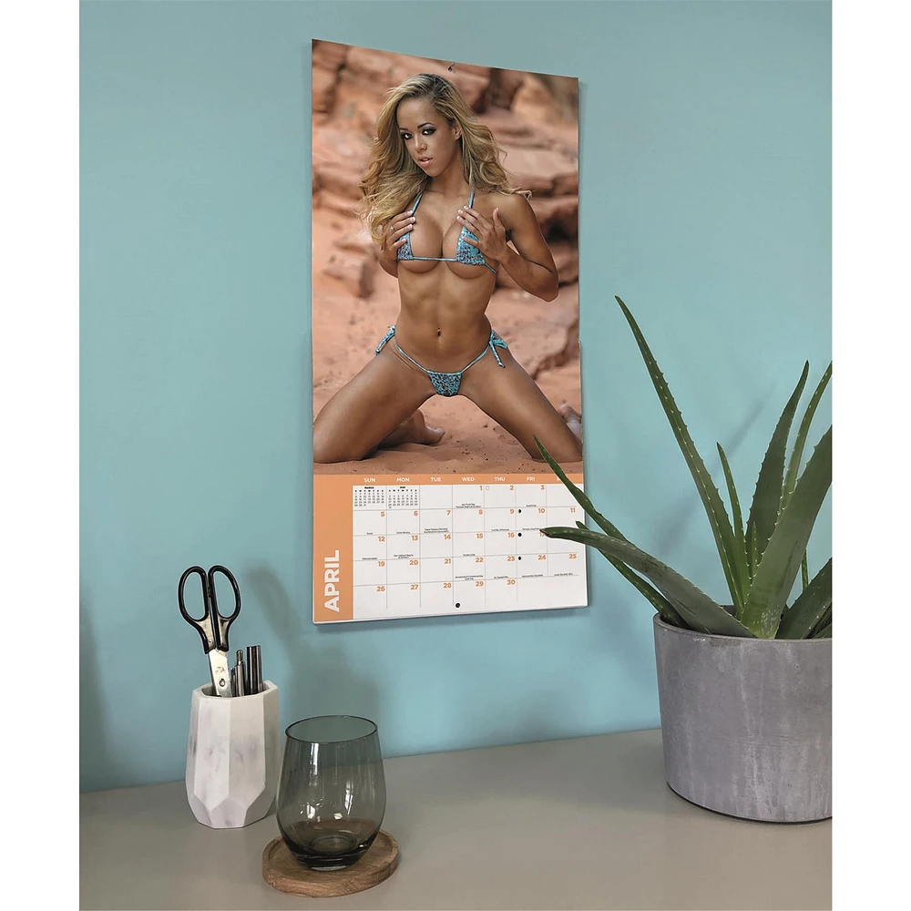 Babes 2026 Wall Calendar