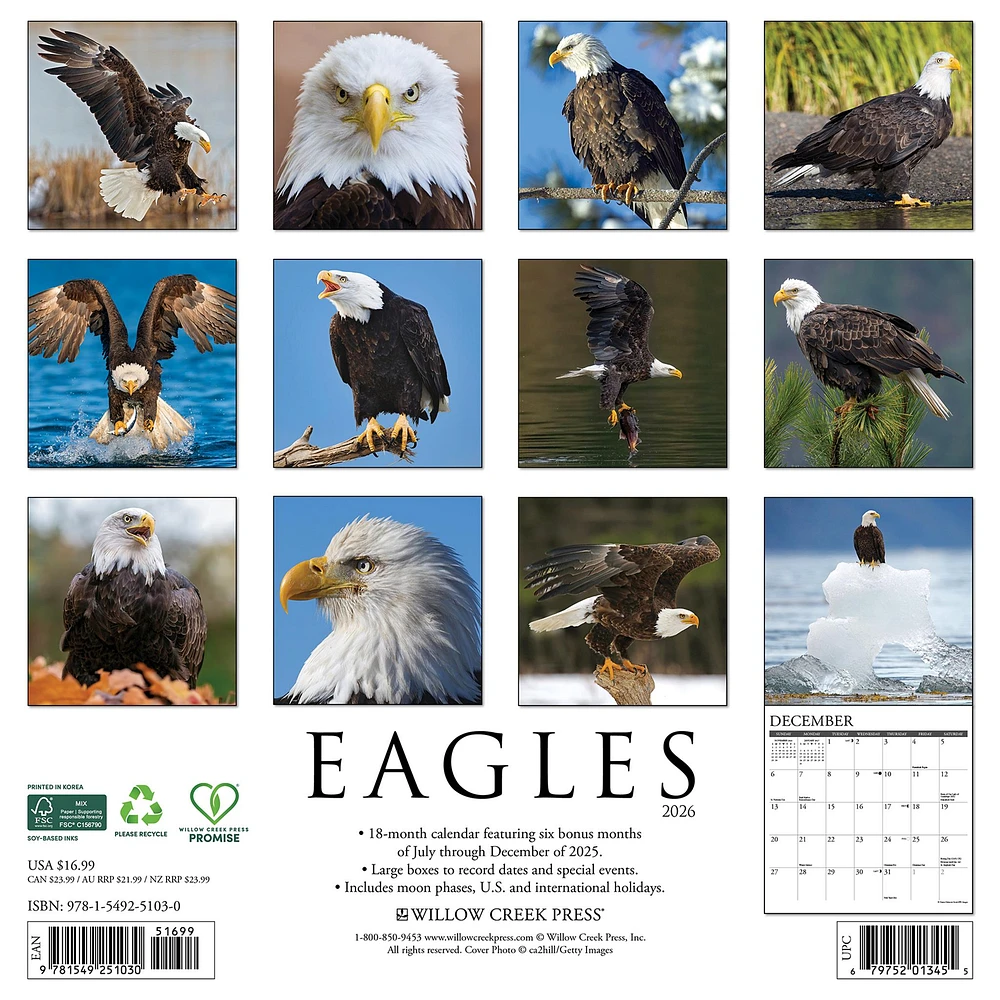 Eagles 2026 Wall Calendar - Online Exclusive