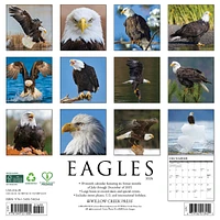 Eagles 2026 Wall Calendar - Online Exclusive