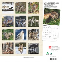 Wolves Les Loups Wall 2025 Calendar (French)