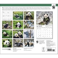 Giant Pandas World Wildlife Fund Wall 2025 Calendar