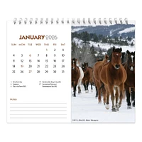 Horse Lovers 2026 Double View Easel Calendar - Online Exclusive