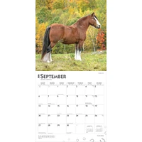 Clydesdales 2026 Wall Calendar - Online Exclusive
