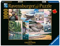 West Coast Tranquility 1000 Piece Puzzle - Online Exclusive