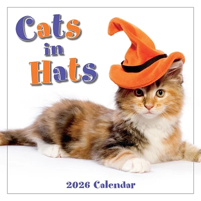 Cats In Hats 2026 Mini Calendar