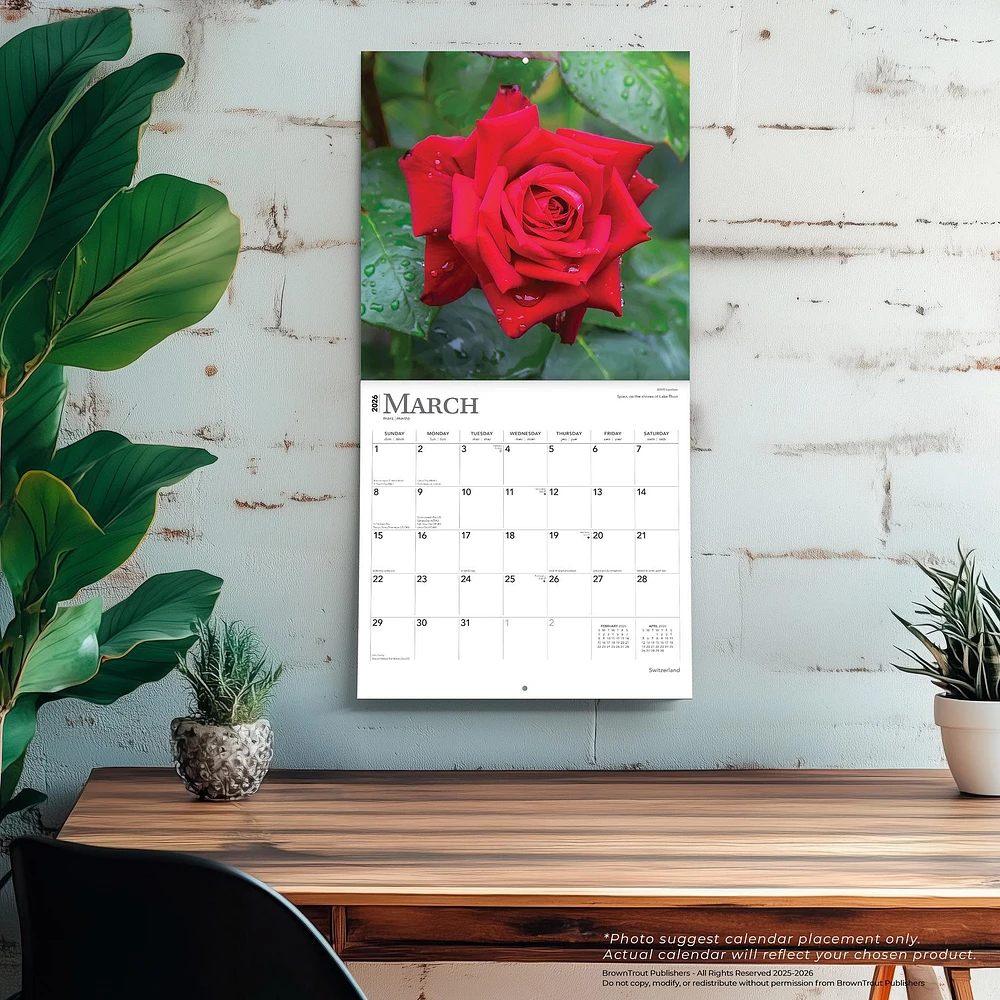Roses 2026 Wall Calendar - Online Exclusive